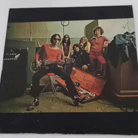 The Flamin' Groovies, Teenage Head